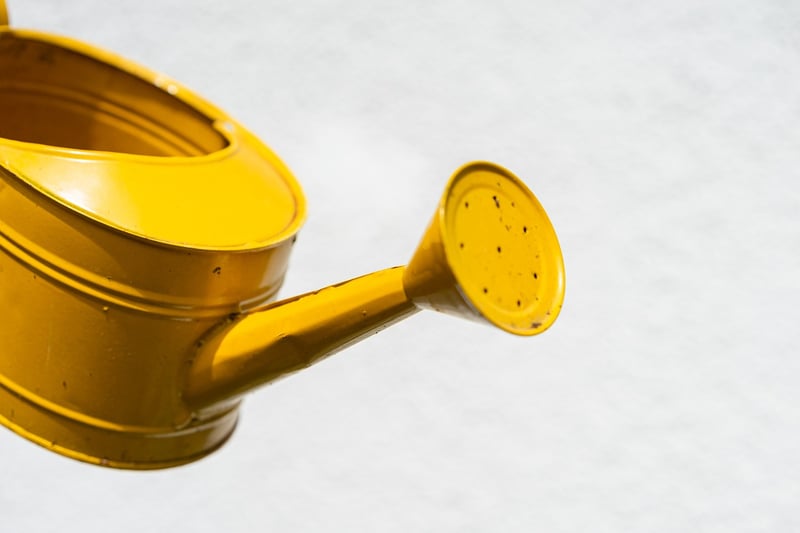 Wizardly watering cans