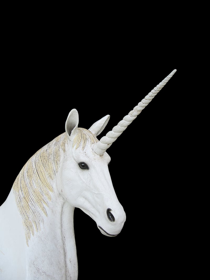 Unicorn Grooming Session